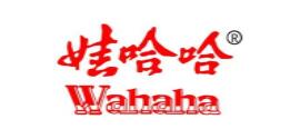 娃哈哈的管理自动化(MA)平台
